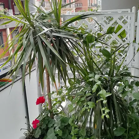 Vendégház Casara Bari